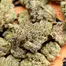 Patient Image of 4TP AFC T25 Animal Face Medical Cannabis