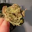 Patient Image of 4C Labs PKK T21 Pink Kush Medical Cannabis