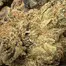 Patient Image of Green Karat RO T29 Runtz OG Medical Cannabis