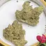 Patient Image of Canopy Growth® KMI T28 Kush Mints Medical Cannabis