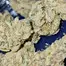 Patient Image of 4C Labs Value AKF T18 Alien Koffee Medical Cannabis