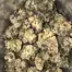 Patient Image of Upstate® MOP T15 Mimosa Orange Punch Medical Cannabis