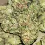 Patient Image of Big Narstie Medical JK T27 Jack Kush Medical Cannabis
