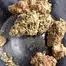 Patient Image of Humble Bud GM Smalls T25 Gelato Medical Cannabis