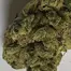 Patient Image of Redecan BC T25 Beach Crasher Medical Cannabis