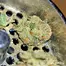 Patient Image of Ostara GC T30 Gas Cake Medical Cannabis