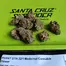 Patient Image of Phant GTH T22 Ghost Train Haze Medical Cannabis