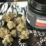 Patient Image of Upstate® FTC T30 Fight Club Medical Cannabis