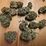 Patient Image of 4C Labs PKK T21 Pink Kush Medical Cannabis
