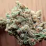 Patient Image of Soma OG MCD T30 M.A.C. Deluxe Medical Cannabis