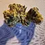 Patient Image of Sundaze® BSC T28 Banana Shortcake Medical Cannabis