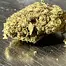 Patient Image of Dalgety CMOG T27 Chem-Mog Medical Cannabis