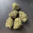 Patient Image of Lumir® LL5 T24-25 Legendary Larry Medical Cannabis