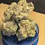 Patient Image of Papers™ AFC T28 Animal Face Cookies Medical Cannabis