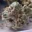 Patient Image of Noidecs T18 Gorilla Glue #4 Medical Cannabis