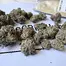 Patient Image of Humble Bud SC Smalls T25 Sticky Cake Medical Cannabis