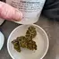 Patient Image of Curaleaf® HSR T21 High Silver Medical Cannabis