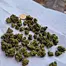 Patient Image of Big Narstie Medical PB-S Smalls T24 Papaya Bantz Medical Cannabis