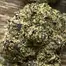 Patient Image of Lot420™ ROR T26-T28 Ripped Off Runtz Medical Cannabis