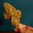 Patient Image of IPS AB T22 Afghani Bullrider Medical Cannabis