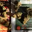 Patient Image of Therismos Access MSK T22 Miss Kim Medical Cannabis