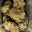Patient Image of Four BRB T28 Big Red Beard Medical Cannabis