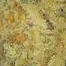 Patient Image of Plantations Cérès MAK T25 Mango K Medical Cannabis