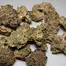 Patient Image of IPS JFA T20 Jet Fuel Apricot Medical Cannabis