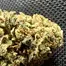 Patient Image of Therismos Access OGK T22 OG Kush Medical Cannabis