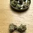 Patient Image of Grow® Pharma LAS T22 L.A. S.A.G.E. Medical Cannabis