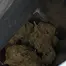 Patient Image of 4C Labs Value TRG T26 Tropicana Gold Medical Cannabis