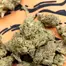 Patient Image of 4TP AFC T25 Animal Face Medical Cannabis