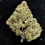 Patient Image of Adven® EMB-1 T5:C10 Best Choice Medical Cannabis