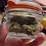 Patient Image of EcoCann Access PNK T23 Pink Cookies Medical Cannabis
