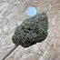 Patient Image of Primacann LLC T21 Liberation Lemon Cake Medical Cannabis