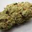 Patient Image of IPS MC T22 Mandarin Cookies Medical Cannabis