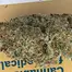 Patient Image of Huala AMS T24 Alien Mints Medical Cannabis