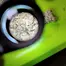 Patient Image of Sundaze® PSC T23 Pink Snowcone Medical Cannabis