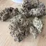 Patient Image of Craft Botanics® SBF T27 Superboof Medical Cannabis