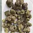 Patient Image of Vasco BB Smalls T28 Blueberry Banana Medical Cannabis