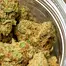 Patient Image of Kasa Verde GZP T26 Gazzurple Medical Cannabis