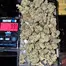 Patient Image of MedCan Isando T22 Birthday Cake Medical Cannabis