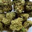 Patient Image of Grow® Pharma HJ T16 Herijuana Medical Cannabis