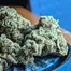 Patient Image of 4C Labs Core LMT T25 Lemonatti Medical Cannabis