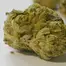 Patient Image of EcoCann Access MTB T19 Motorbreath Medical Cannabis