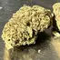 Patient Image of Dalgety CMOG T27 Chem-Mog Medical Cannabis