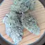 Patient Image of Sundaze® AB T23 Apples & Bananas Medical Cannabis
