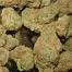 Patient Image of Big Narstie Medical GK T28 Gorilla Kush Medical Cannabis