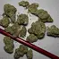 Patient Image of Phant SGU Smalls T22 Strawberry Guava Medical Cannabis