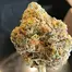 Patient Image of Craft Botanics® GGA T32 GMO Grape Ape Medical Cannabis